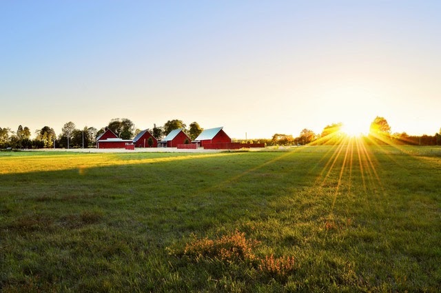 5 Things No One Tells You About Battleground Property Management